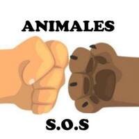 refugio Animales S.O.S Uruguay, dedicado a la protección y cuidado de animales en Canelones.