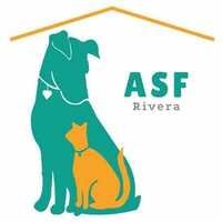 Animales sin Fronteras Rivera Uruguay - protectora de animales brindando refugio y ayuda a perros y gatos abandonados