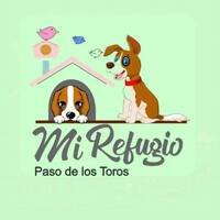 Refugio de mascotas Mi Refugio en Paso de los Toros, Tacuarembó, Uruguay, dedicado al cuidado y adopción de animales