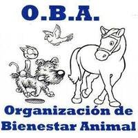 Refugio de mascotas de la organización de bienestar animal en Durazno, Uruguay