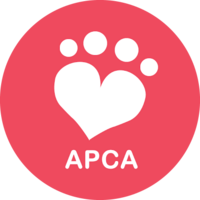 Perros y gatos en adopción en la Asociación Protectora de los Animales de Canelones, refugio de animales en Uruguay