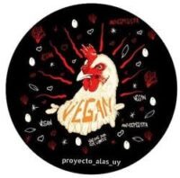 Gallos y gallinas en el refugio Proyecto Alas recibiendo cuidado y protección
