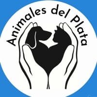 Animales del Plata - protectora de animales en Ciudad del Plata, San José, Uruguay, rescatando y cuidando animales abandonados