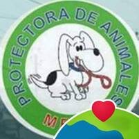 Refugio de mascotas Los Callejeros en Melo, Cerro Largo, Uruguay, brindando hogar a perros y gatos en situación de calle