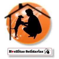 Huellitas Solidarias en Rivera, Uruguay, en busca de un hogar