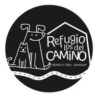 Perros y gatos en el Refugio Los del Camino, un refugio de mascotas en Treinta y Tres, Uruguay