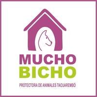 Refugio Mucho Bicho en Tacuarembó, Uruguay, cuidando y protegiendo animales rescatados.