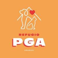 "Perros y gatos rescatados en el refugio PGA, centro de protección animal que busca brindar una segunda oportunidad a mascotas en Uruguay