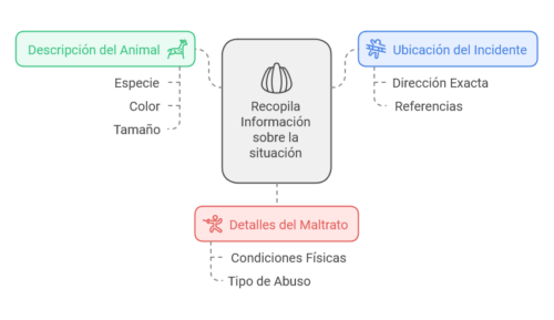 Denuncia por maltrato animal ¿Cómo hacer una denuncia por maltrato animal en Uruguay?