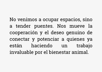 asociacion-protectora-de-animales-en-uruguay
